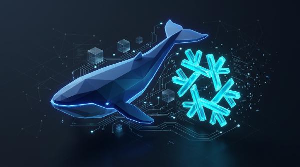Packaging DeepSeek Harness (and Declarative Plugins) for NixOS